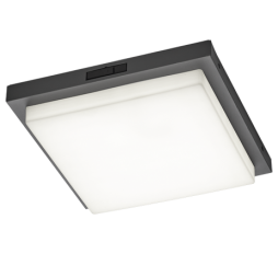 Slika izdelka: TRIO 630369242 BERMEJO SQ stropna svetilka antracit incl.1x14W LED/1400Lm/2300+3000+4000K Senzor gibanja
