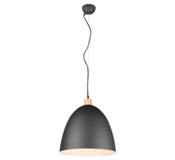 Slika izdelka: TRIO R30681932 JAGGER viseča svetilka črna 1x max.40W E27