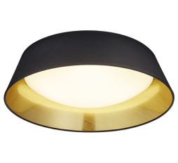 Slika izdelka: TRIO R62871879 PONTS stropna svetilka LED črna/zlata 1x18W SMD 1X1700LM